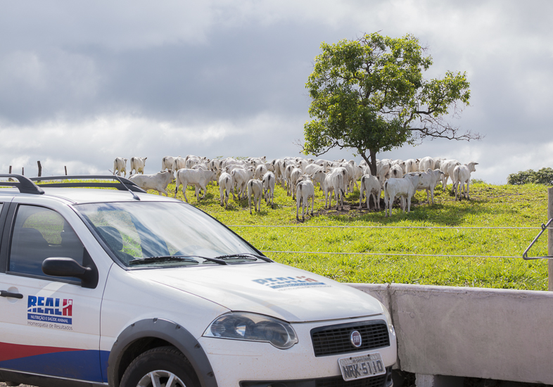 Carro da Real H aparece em frente a cocho em sistema de confinamento. Ao fundo, bovinos da raça nelore e uma árvore contra o horizonte.