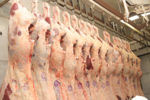 Real H nutrição e saude animal