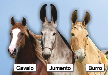 os tres