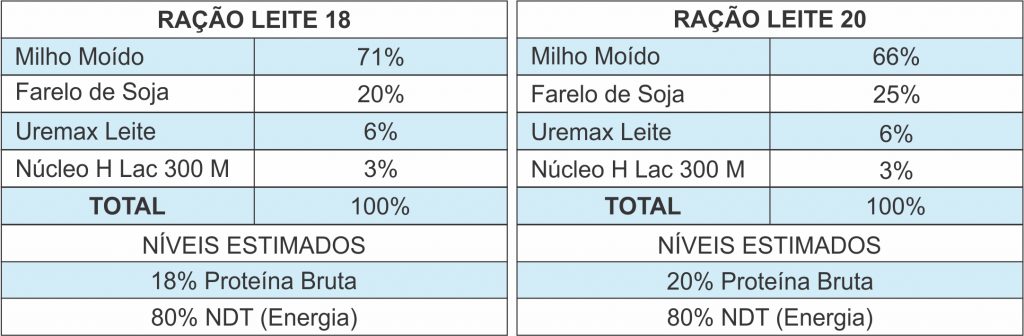 nutrição de vaca leiteira
