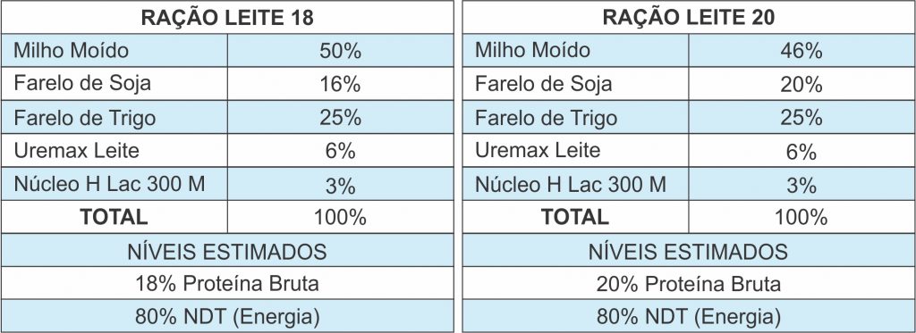 nutricao vaca leiteira