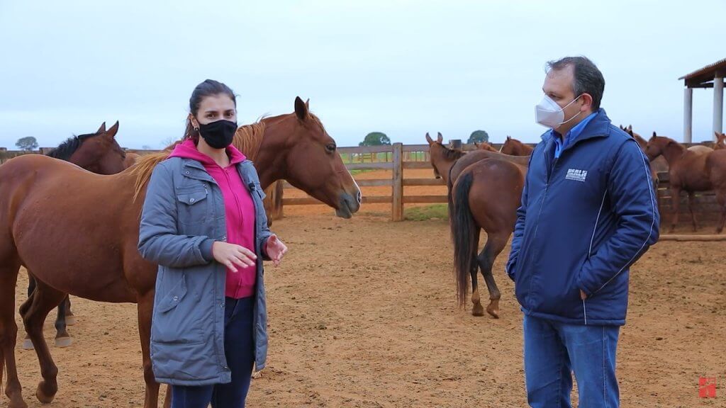 Médica Veterinária Marina Pegorer conversa com o repórter Dener Dias.