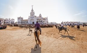 Horses in El Rocio