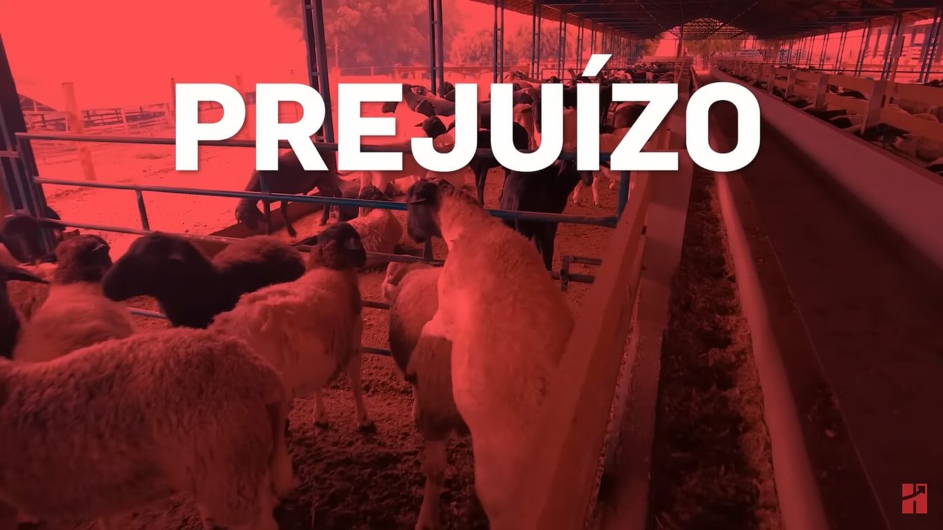TREPA-TREPA EM CORDEIROS