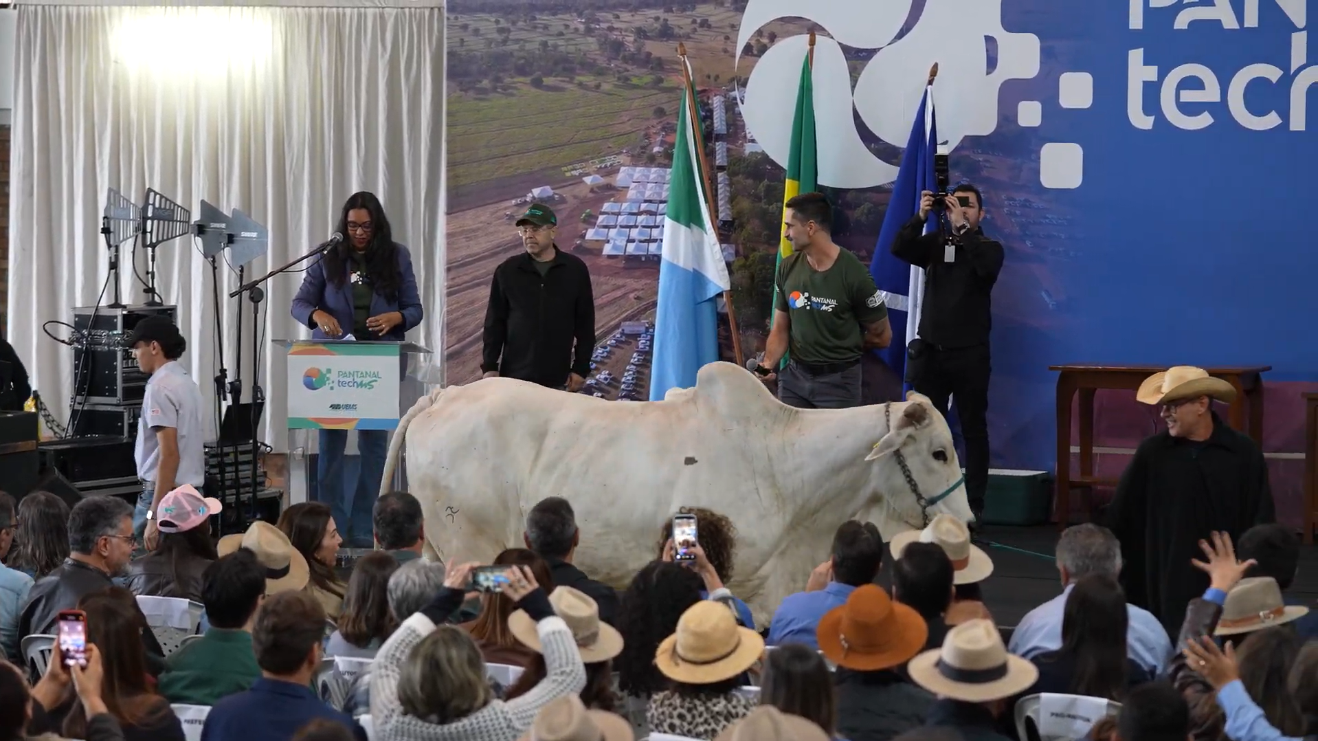 Bovino desfila durante abertura do Pantanal Tech 2026