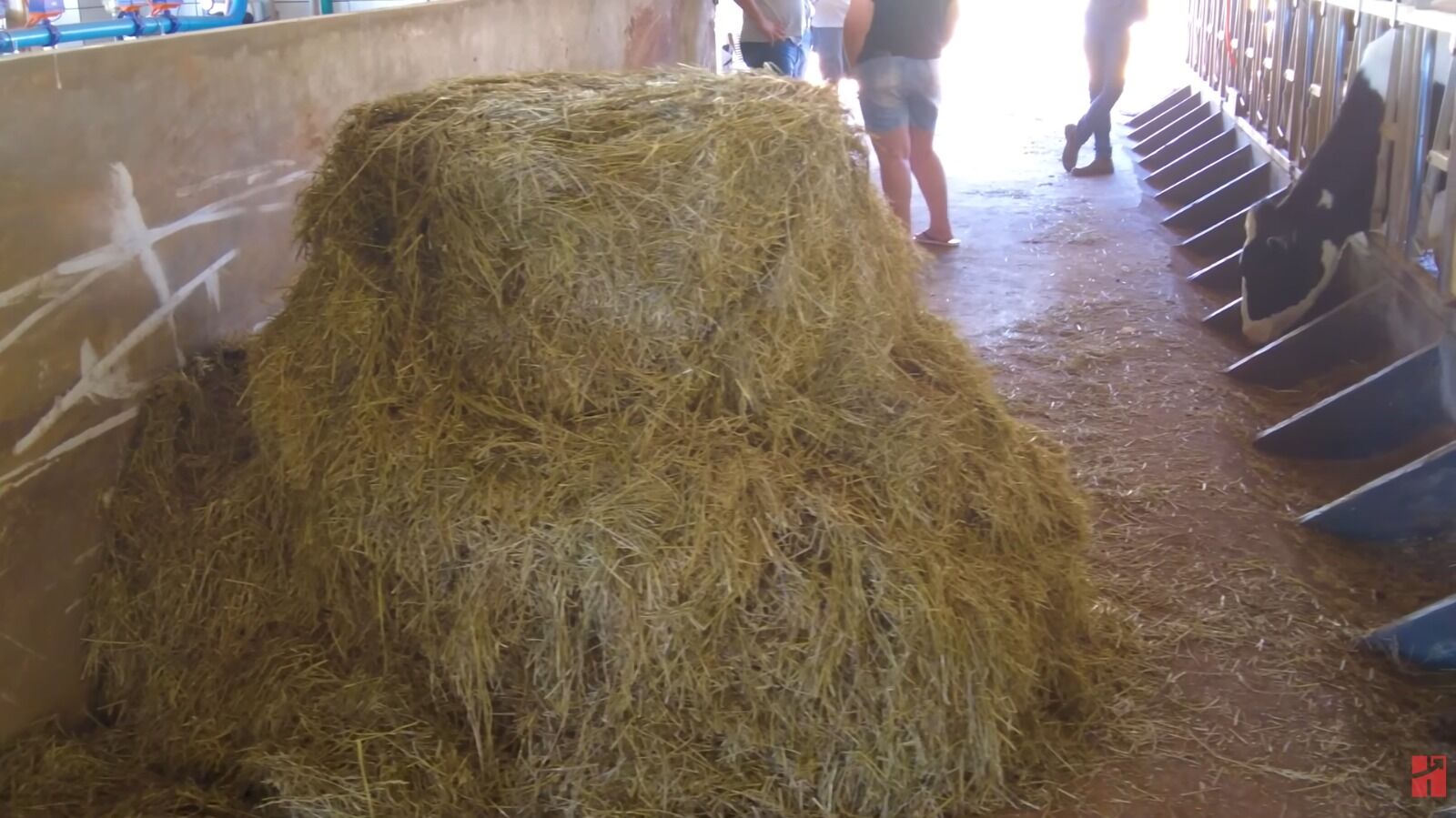 Fardo de feno empilhado em um curral