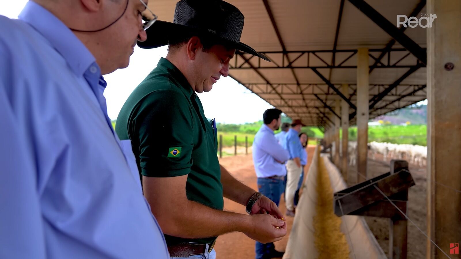 Pessoas observando manejo em fazenda de gado