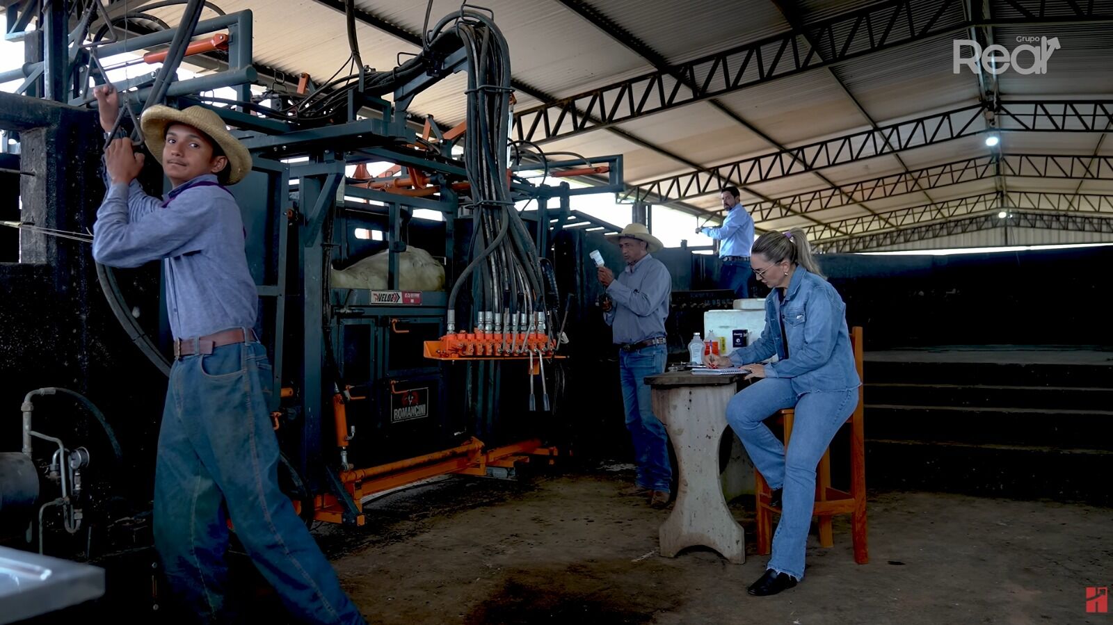Trabalhadores em fazenda de gado ordenhando vacas
