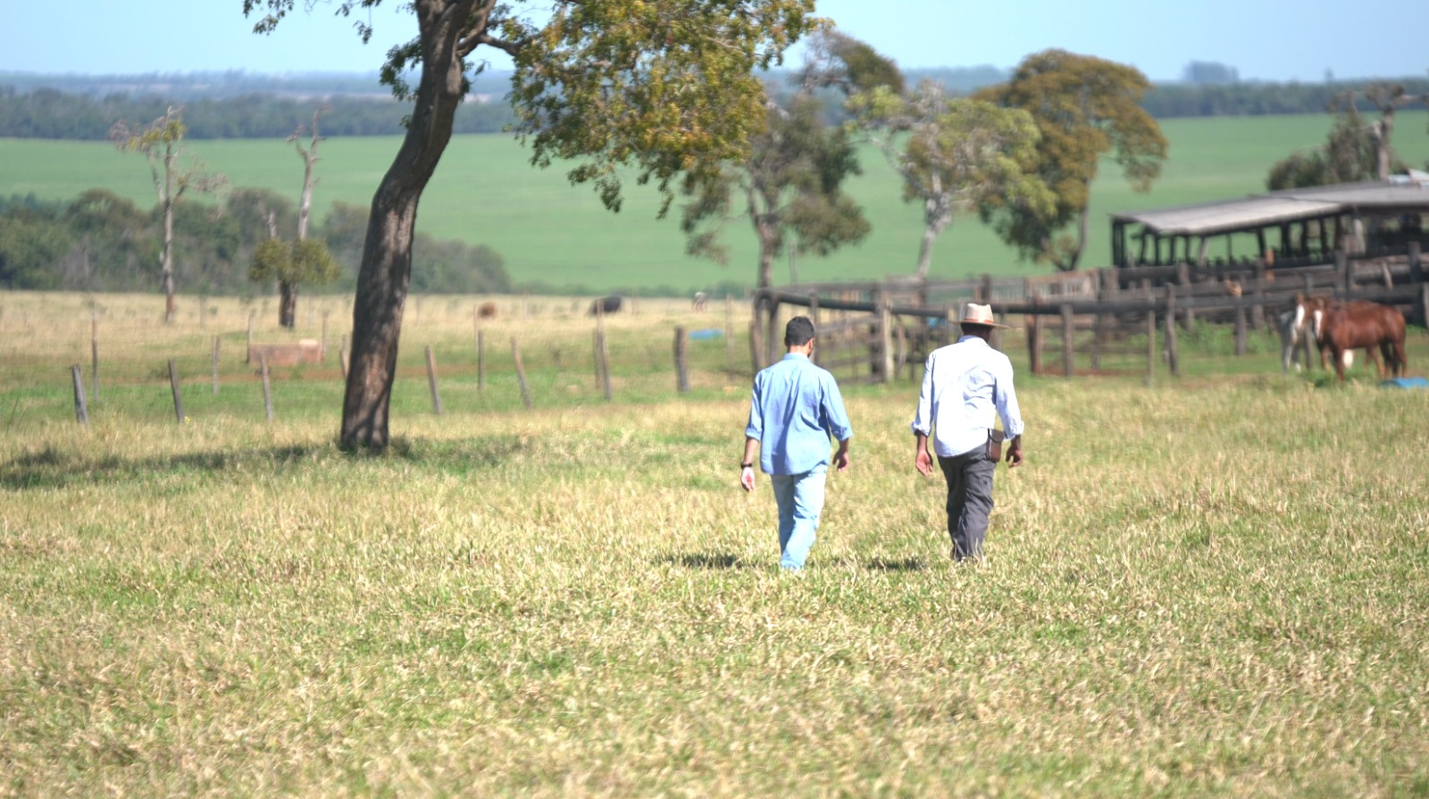 Seu José e Guilherme Gatti no pasto da Fazenda Vitória utilizando tecnologias Real H