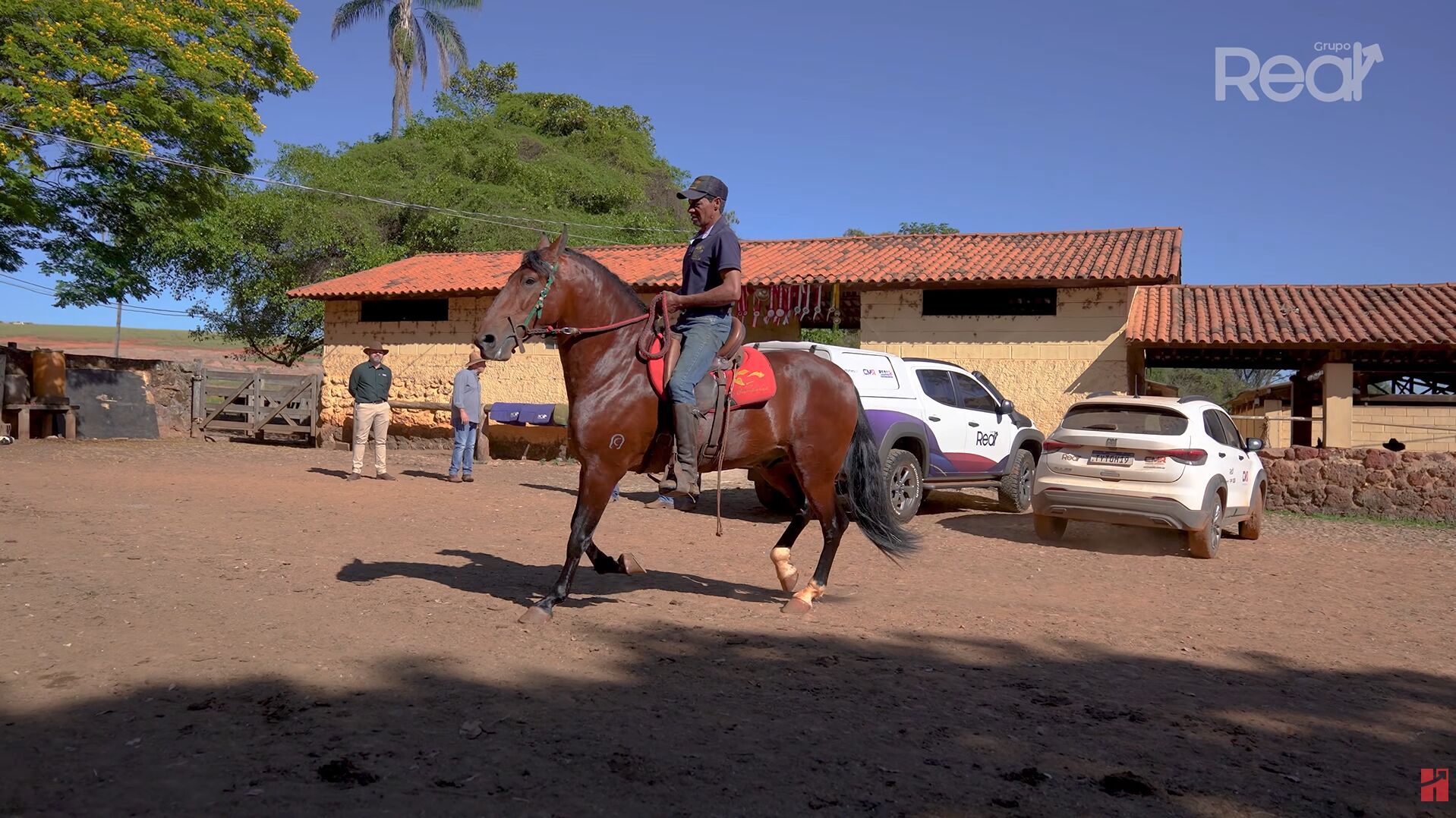 Cavaleiro montando um cavalo em um haras