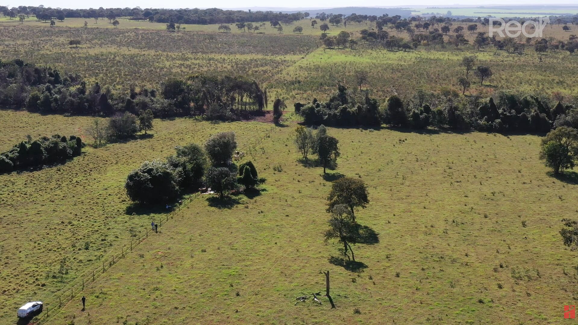 Paisagem rural com vegetação e árvores dispersas