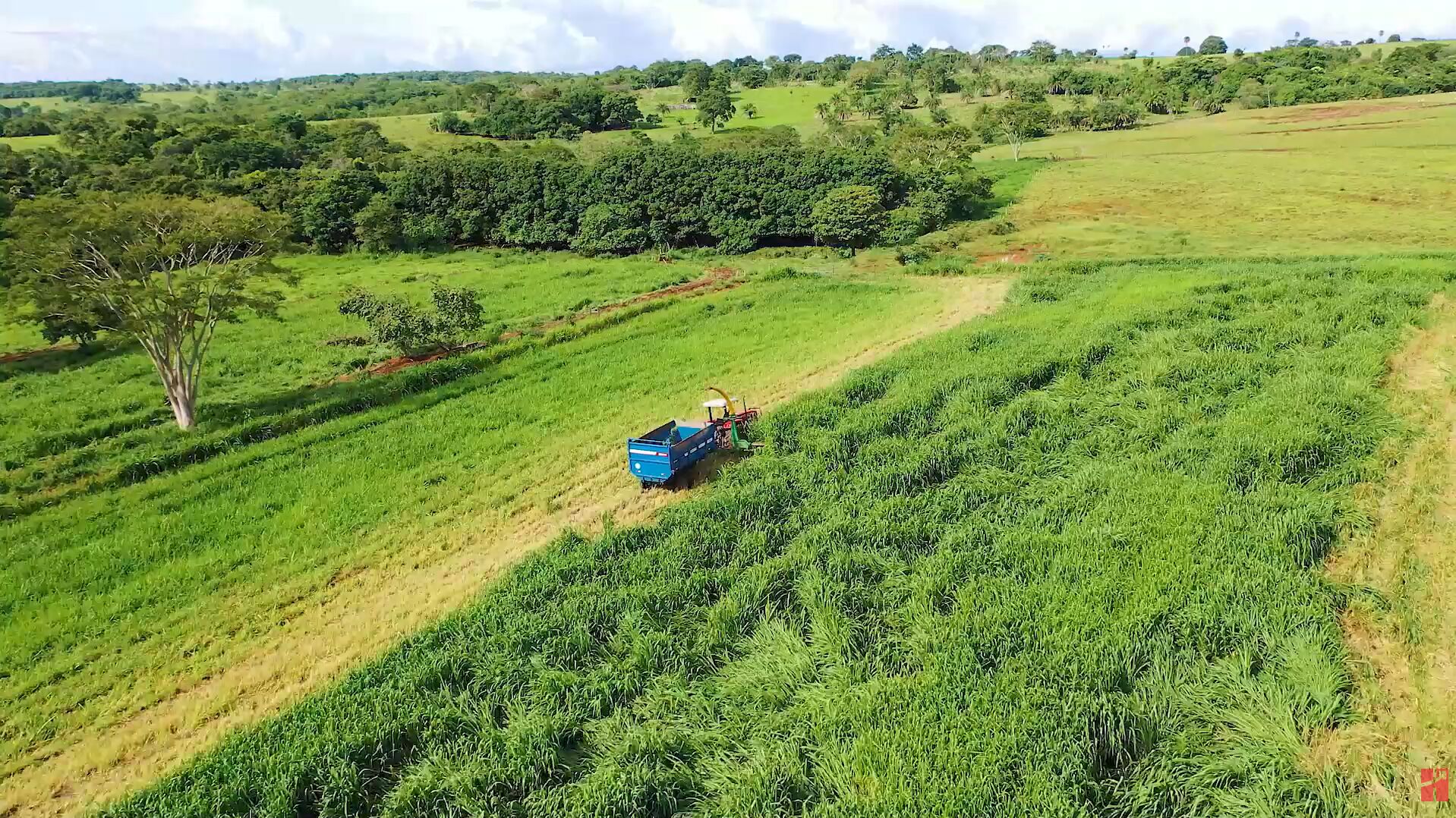 Trator azul em campo verde com árvores ao fundo